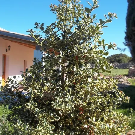La Casa Del Poeta Aglientu