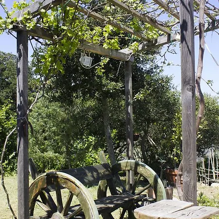 La Casa Del Poeta Aglientu