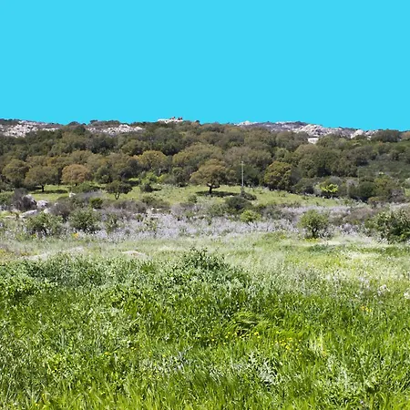 La Casa Del Poeta 3*