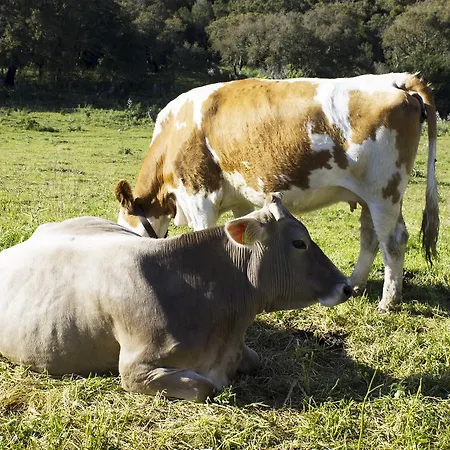 La Casa Del Poeta Affittacamere 3*