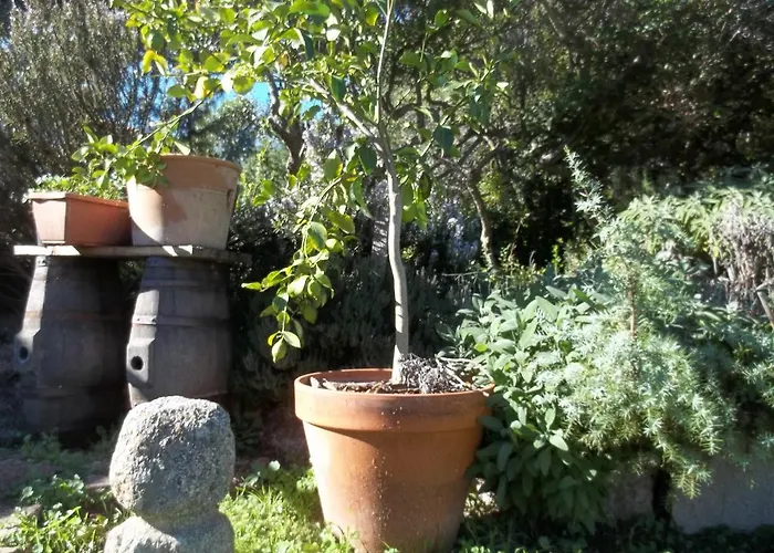 La Casa Del Poeta
