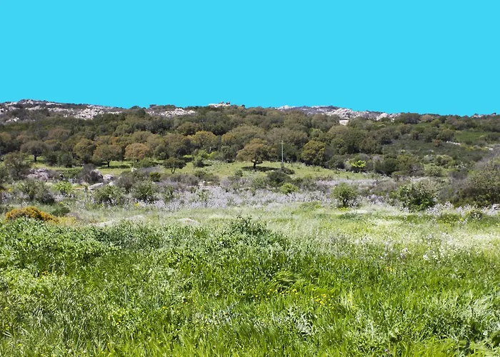 La Casa Del Poeta 3*