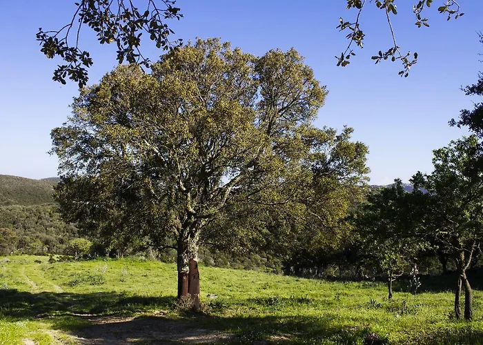 La Casa Del Poeta Aglientu